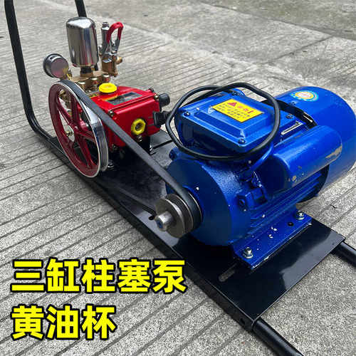 220V高压果园喷洒农用电动打药机