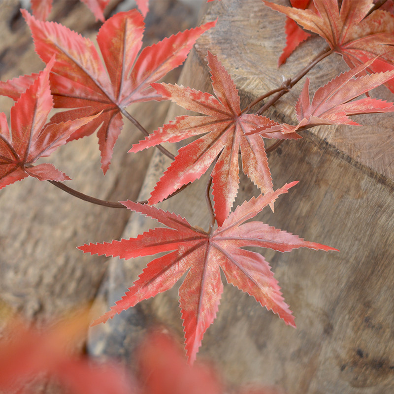 仿真枫叶装饰红叶仿真花婚庆花客厅花艺植物仿生花假花树叶摆件