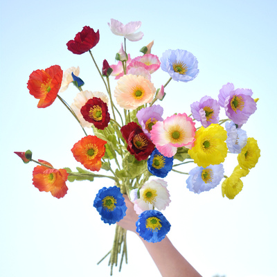 LXHouse绢花拍摄虞美人餐桌花