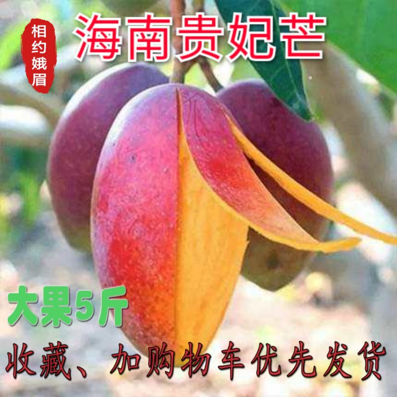 海南贵妃芒应季水果产地直发一件