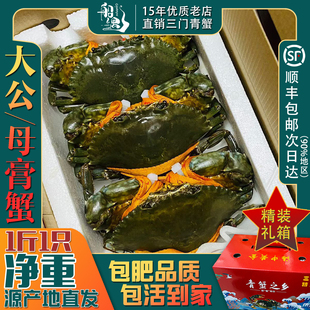 三门青蟹特大 鲜活母膏蟹 大公肉蟹水产海鲜红鲟海蟹送礼超大猷蠓