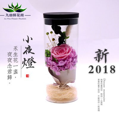 发光永生玫瑰花玻璃罩 台灯满天星许愿发光瓶 七彩创意LED小夜灯在类目 鲜花速递/花卉仿真/绿植园艺, 永生花/干花, 永生花中 - 来自Buy2taobao.com提供专业的淘宝代购服务