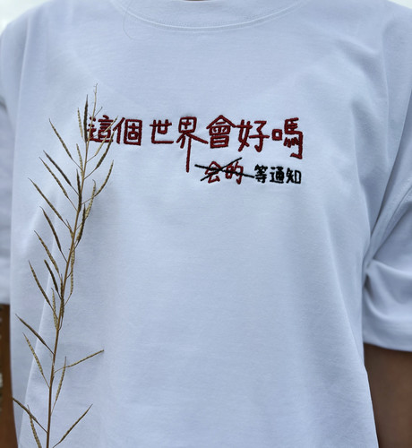 这个世界会好吗会的等通知刺绣T恤 纯棉短袖男女趣味文字宽松半袖