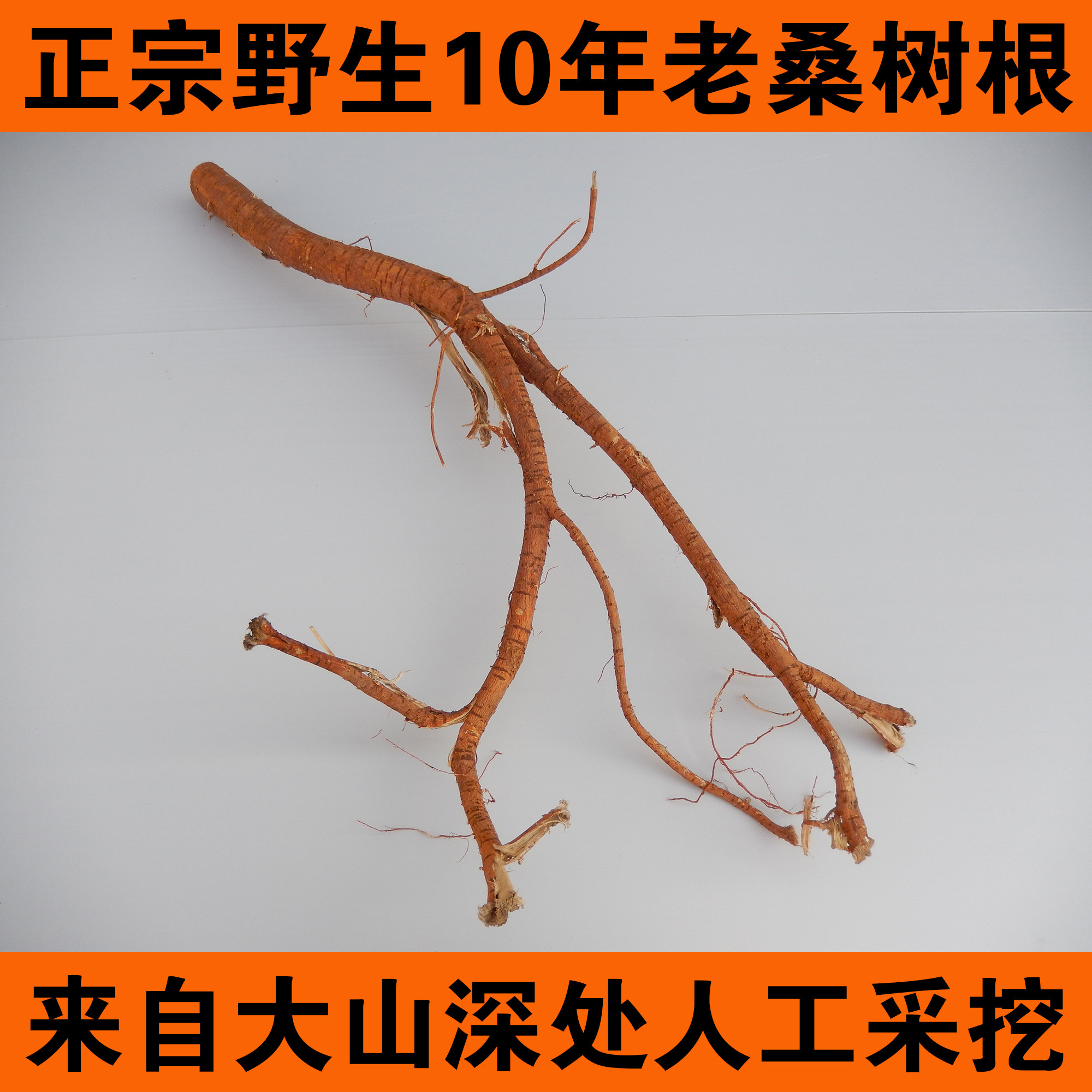 今年新货野生 桑树根老桑头老桑树根 桑葚根 500克 1斤包邮晒干