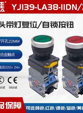 一佳YJ139-LA38-11DN/ZS平头带灯带锁复位按钮红黄绿蓝色孔径22mm