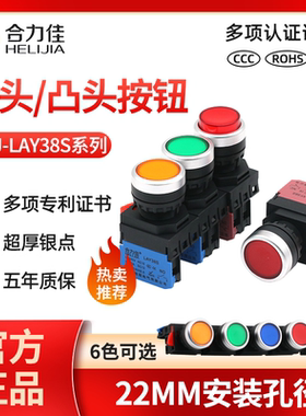 合力佳凸平头按钮LAY38S-10DS/11S带灯复位自锁开关220v24v红绿色