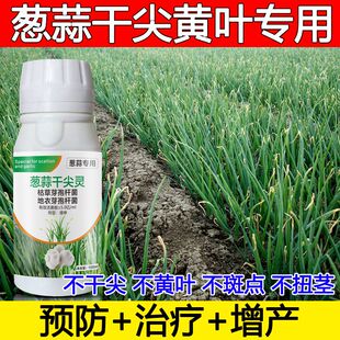 大葱专用药大葱病专治杀菌剂大葱锈病根腐病灰霉干尖黄叶软腐病