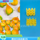 迷你桃子叶量产带推子模具手指小桃子叶子工具9连量产好用简单易
