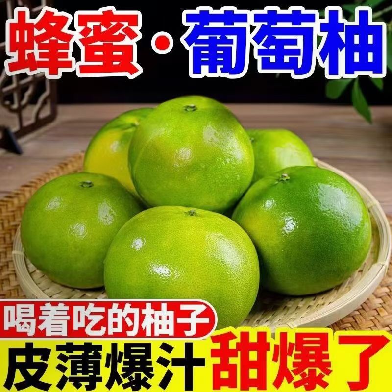 福建翡翠青皮葡萄柚爆汁新鲜西柚柚子