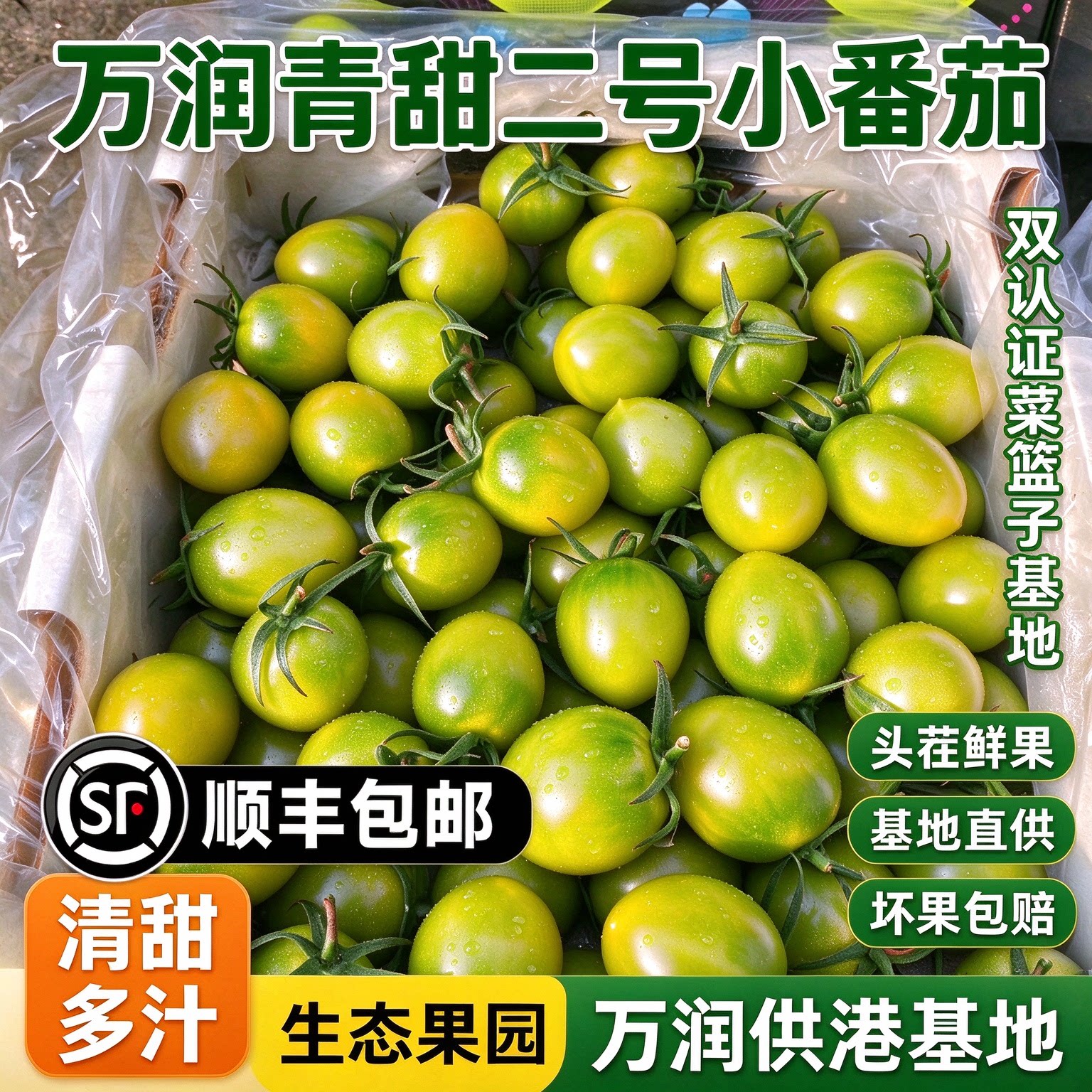青甜2号小番茄青番茄供港基地双认证千禧圣女果新鲜小柿子西红柿