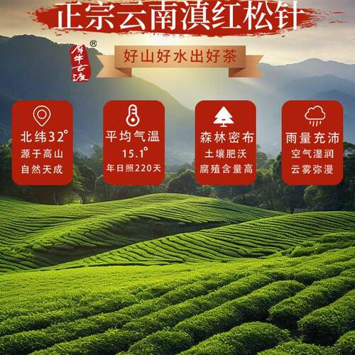 2024新茶云南滇红经典58红茶特级养胃茶叶自己喝散装中国名茶