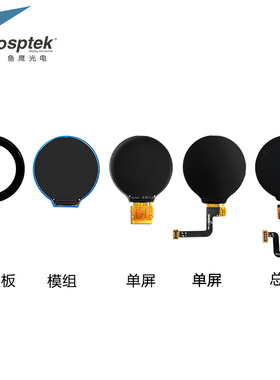 鱼鹰光电1.28寸圆屏 240*240 12PIN焊接