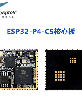鱼鹰光电P4C5核心板 V1.3版本芯片 16M+32M 资料齐全 品质保证