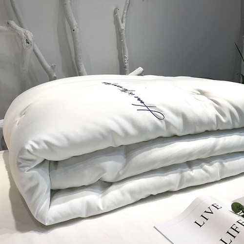 进口超柔云绒软糯垂感加厚冬被