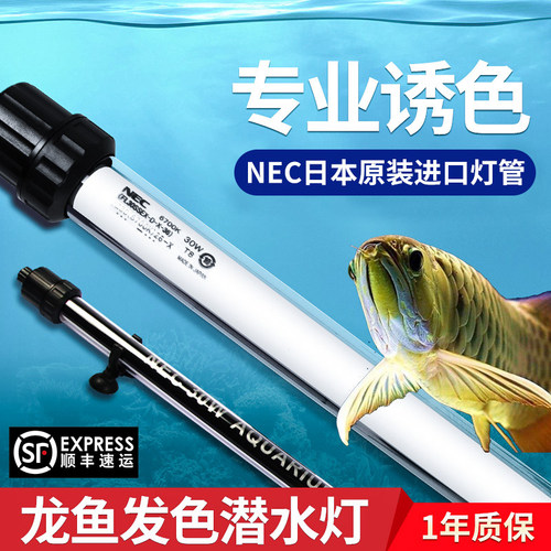 日本nec金龙诱色鱼缸灯观赏灯