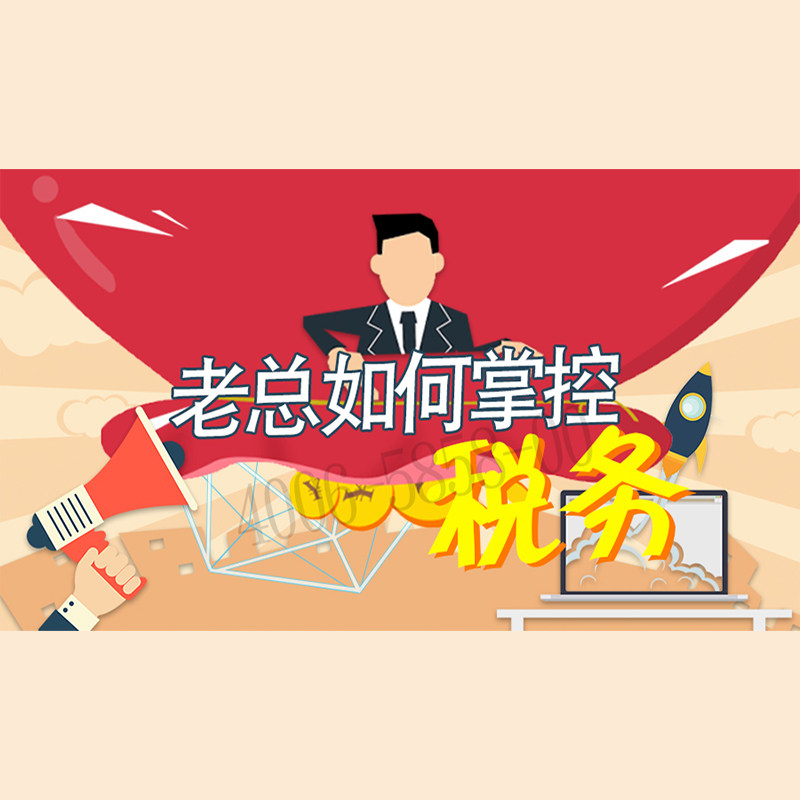 正版包票  蔡昌 老总如何掌控税务 视频课程非DVD