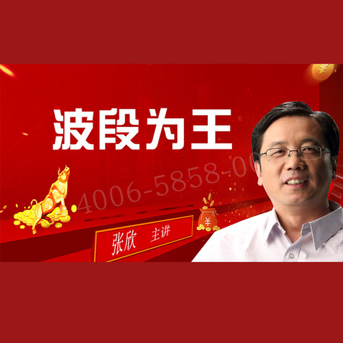 正版包票  张欣 波段为王 视频课程非DVD