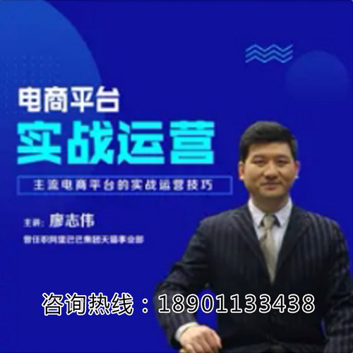 正版包票廖志伟电商平台实战运营电商营销管理网络课程非DVD 中6