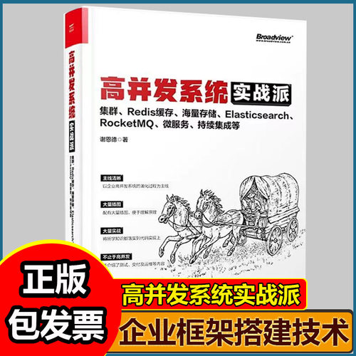 高并发系统实战派 集群 Redis缓存 海量存储 Elasticsearch RocketMQ 微服务 持续集成等 企业系统技术框架搭建技术