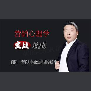 营销心理学实战技巧 肖阳 视频课程非DVD 包票 正版