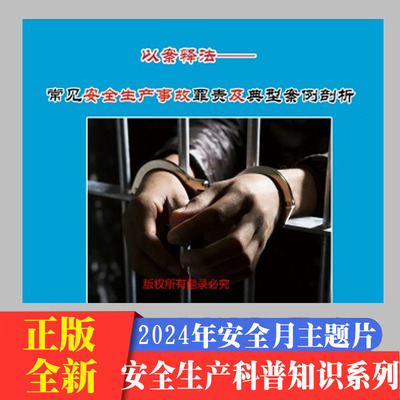 以案释法-常见安全生产事故罪责及典型案例剖析简2DVD/U盘版视频2024年安全月警示教育宣传片中安文化