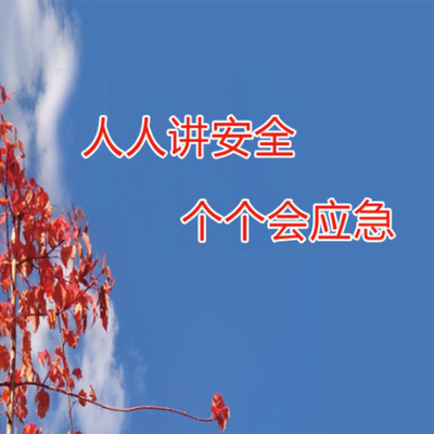 2023年新版安全生产警示教育系列片中安文化2023年安全生产月主题宣教片 人人讲安全个个会应急 U盘版 时长45：44