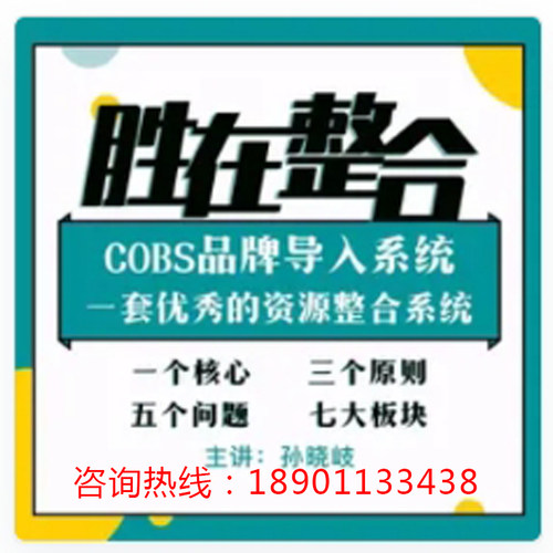 正版包票孙晓崎胜在整合COBS导入系统资源整合网络课程非DVD 中4