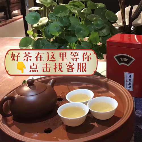 凤凰单丛茶叶特级鸭屎香单枞乌岽单丛蜜兰香凤凰单丛东方红茶叶
