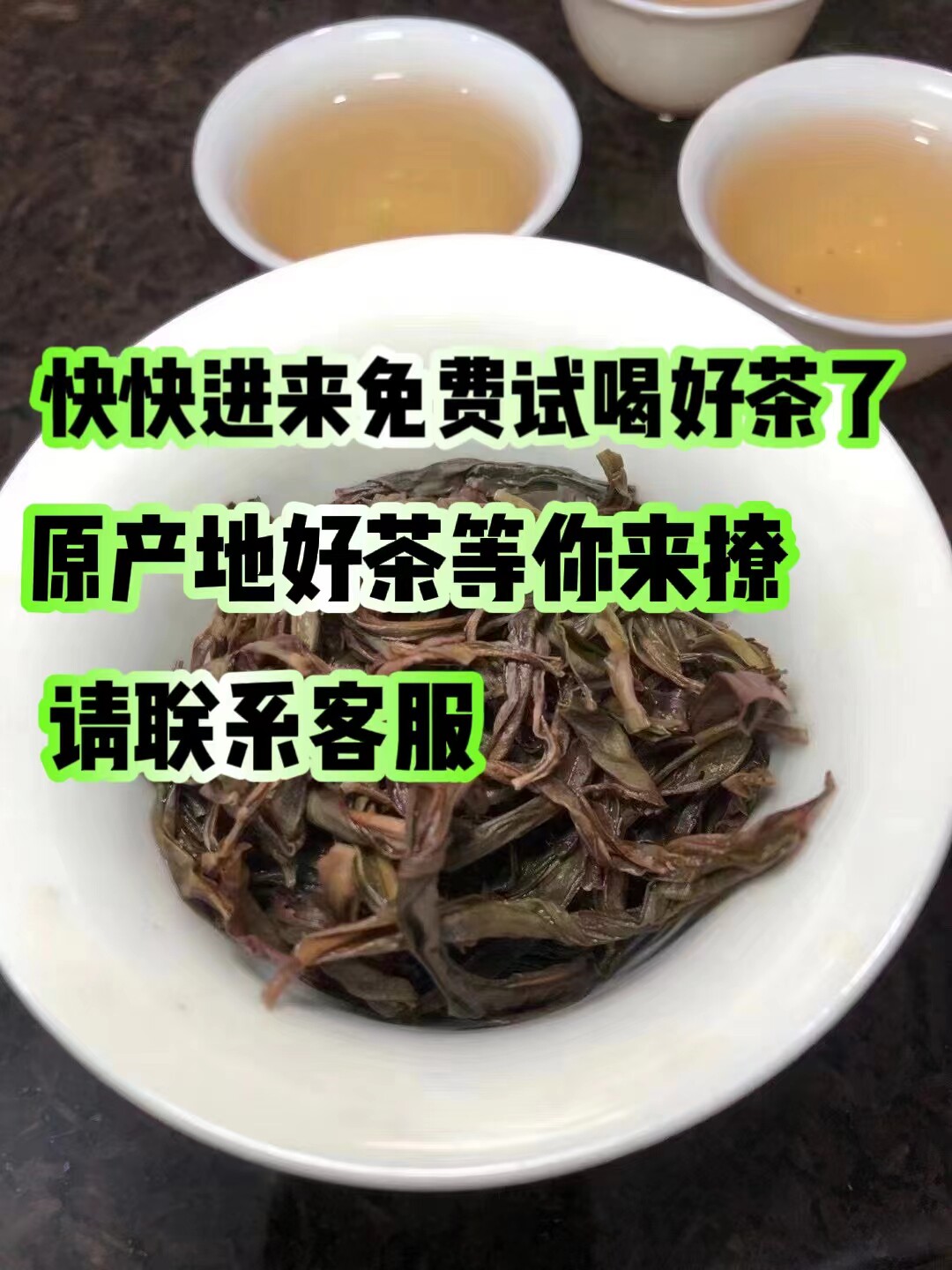 乌岽单枞茶特级茶叶宋种单丛茶芝兰香单从罐装鸭屎香乌龙茶蜜兰香