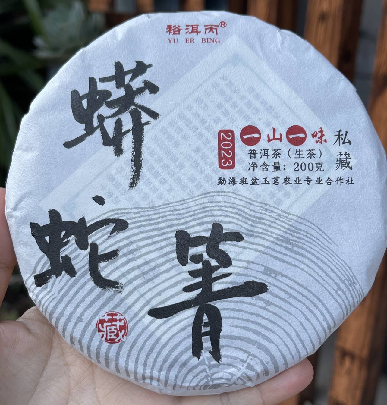 新年福利 2023年易武超微产区蟒蛇箐头春古树 200克一片