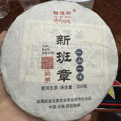 山头200克一片大福利古树