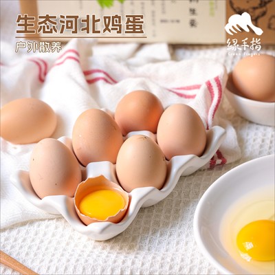 绿手指生态河北鸡蛋30枚包装