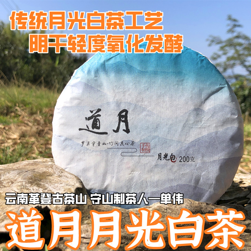 月光白茶道月23年制茶24年压饼单伟山凹凸云南白茶饼汤色金黄回甘