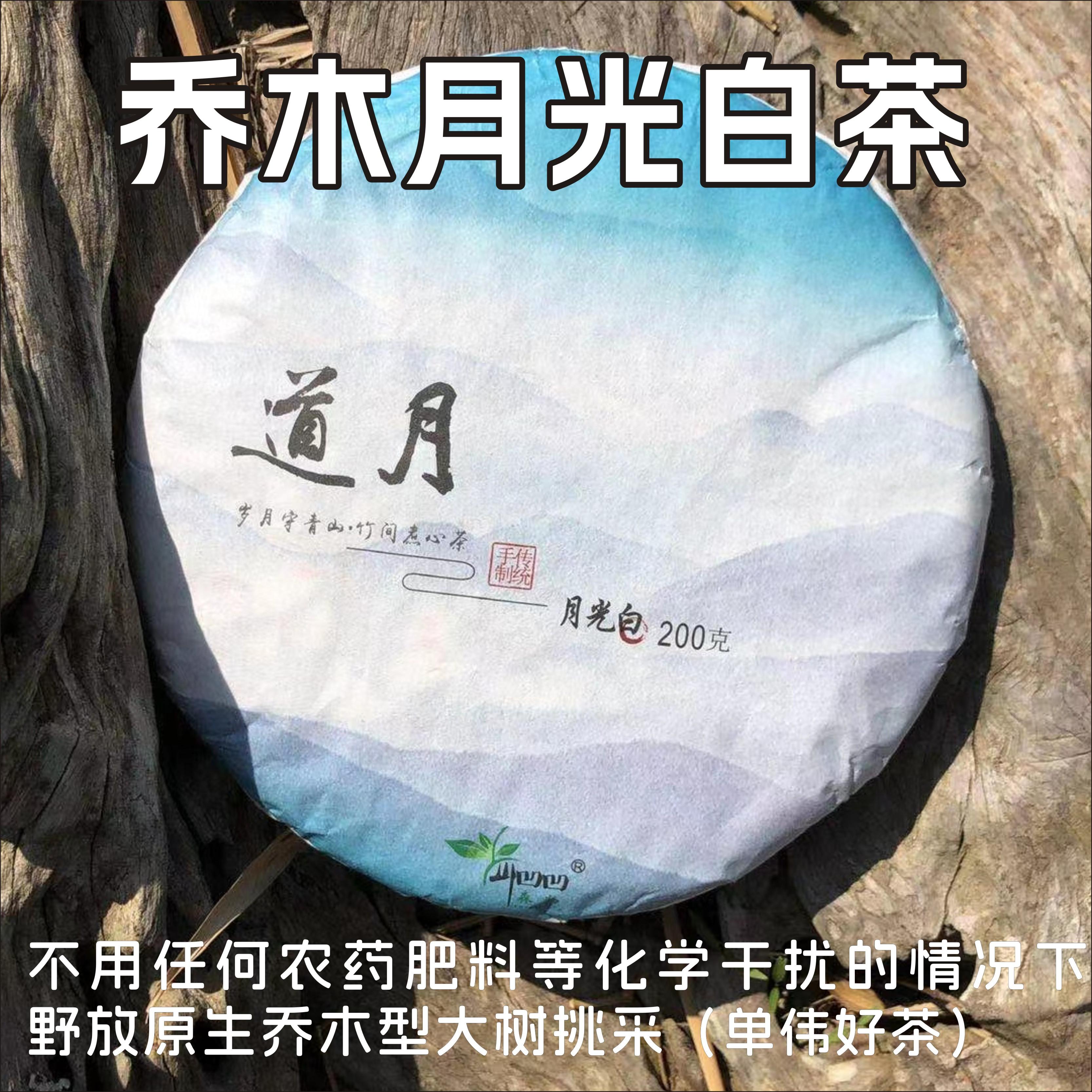 云南乔木月光白茶24年道月200克饼茶山凹凹野放老树森林茶