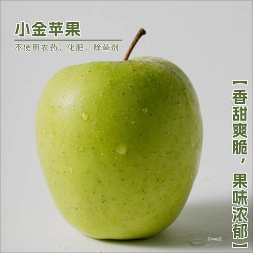 四川生态小金苹果甜脆当季水果