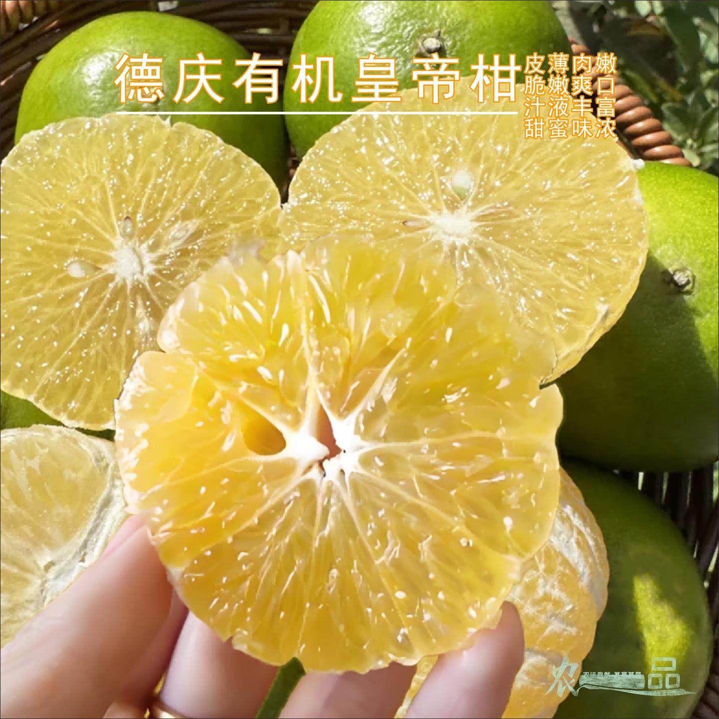 有机皇帝柑肇庆皮薄多汁清甜爽口当季水果当季新鲜采摘现摘整箱,水产肉类/新鲜蔬果/熟食,桔子,淘宝优惠券,粉丝福利购,淘宝优惠卷