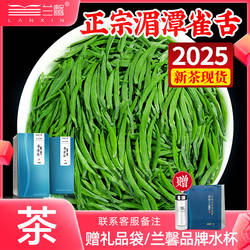 湄潭雀舌绿茶2025新茶明前特级浓香茶叶竹叶嫩芽毛尖春茶散装250g