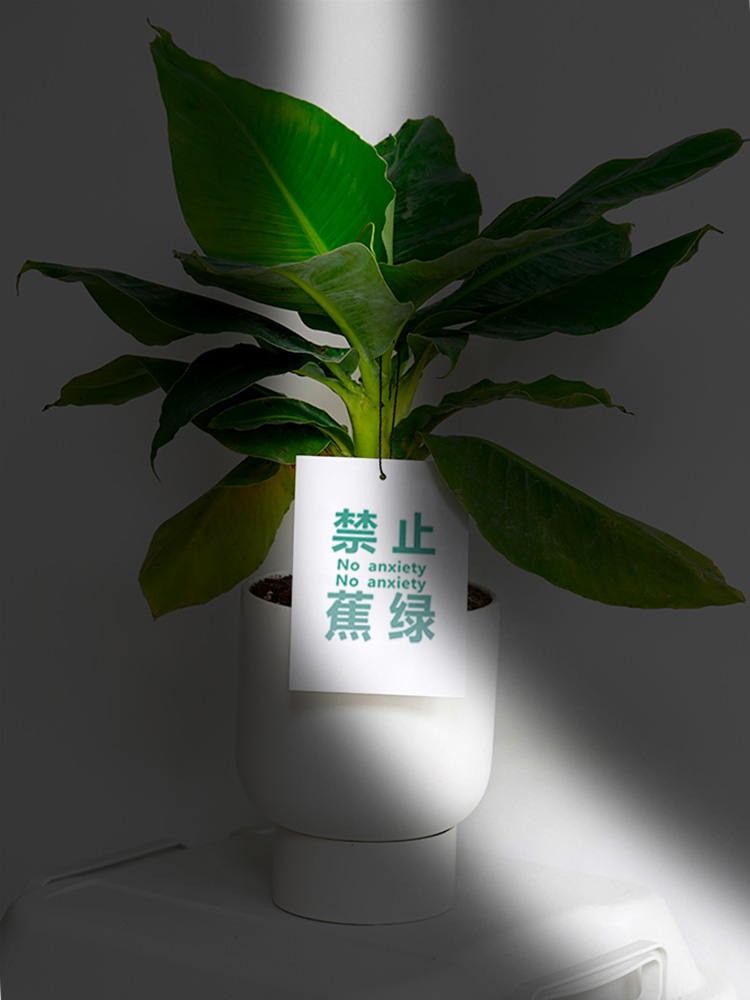 禁止蕉绿吊牌阳台桌面挂件通用
