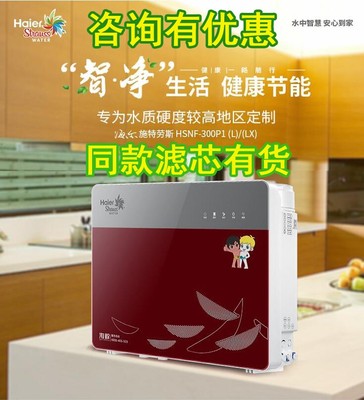 海尔施特劳斯净水器滤芯10寸PP棉