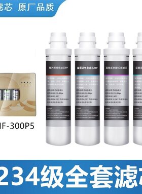海尔施特劳斯HSNF-300P5原装滤芯