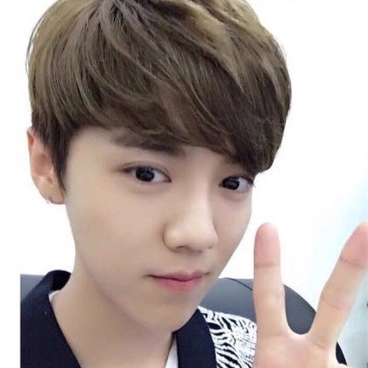 Perruque cheveux raides Court - Ref 2608348 Image 1