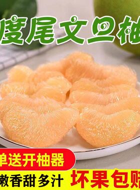 度尾文旦柚正宗新鲜很甜包邮