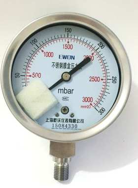 膜盒压力表\Y100 304 0-25kPa M20×1.5 径向 316L 2.5级 ye100b