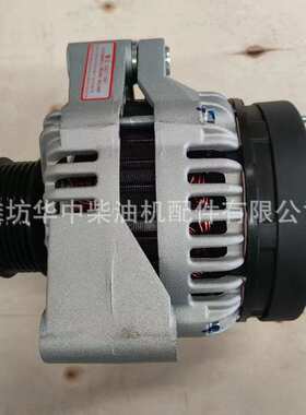 潍坊潍柴WD615船用WD618WP10WP12柴油发动机1002341444发电机原厂