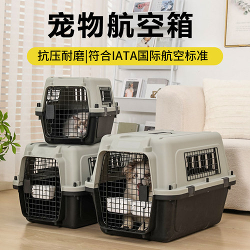 国航通用航空箱嘟嘟斯宝