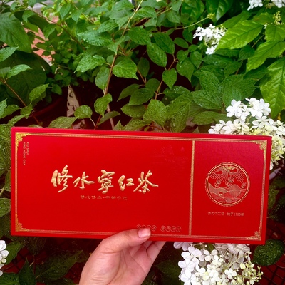 修水宁红茶宁红茶随手礼宁红金毫宁红茶小泡装