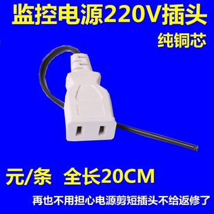 纯铜 带线母插头220v两孔插座电源插头母头 灯带监控用防水插头