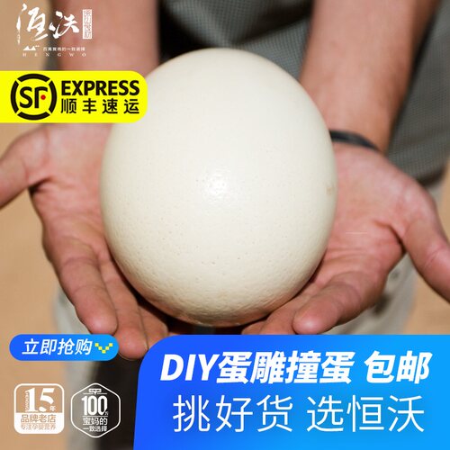 精品壳蛋恒蜂源鸵鸟蛋壳领券包邮