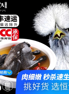 中国名乌鸡江山乌骨鸡顺丰包邮乌鸡和泰放养土鸡农家散养新鲜现货