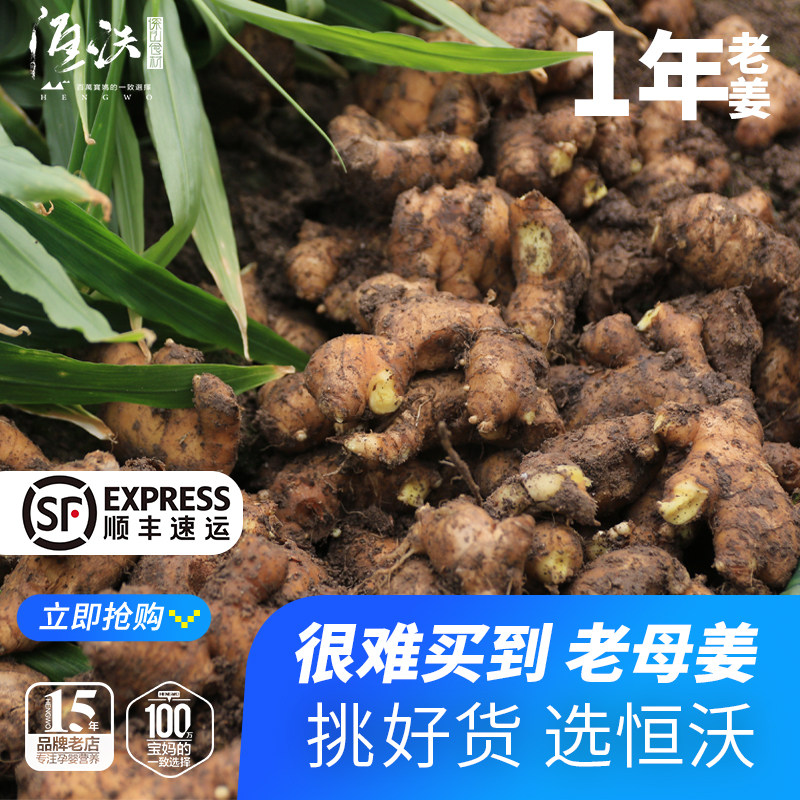 恒沃1年土生姜农家老姜精选姜窖藏顺丰速运新鲜深山土姜3斤